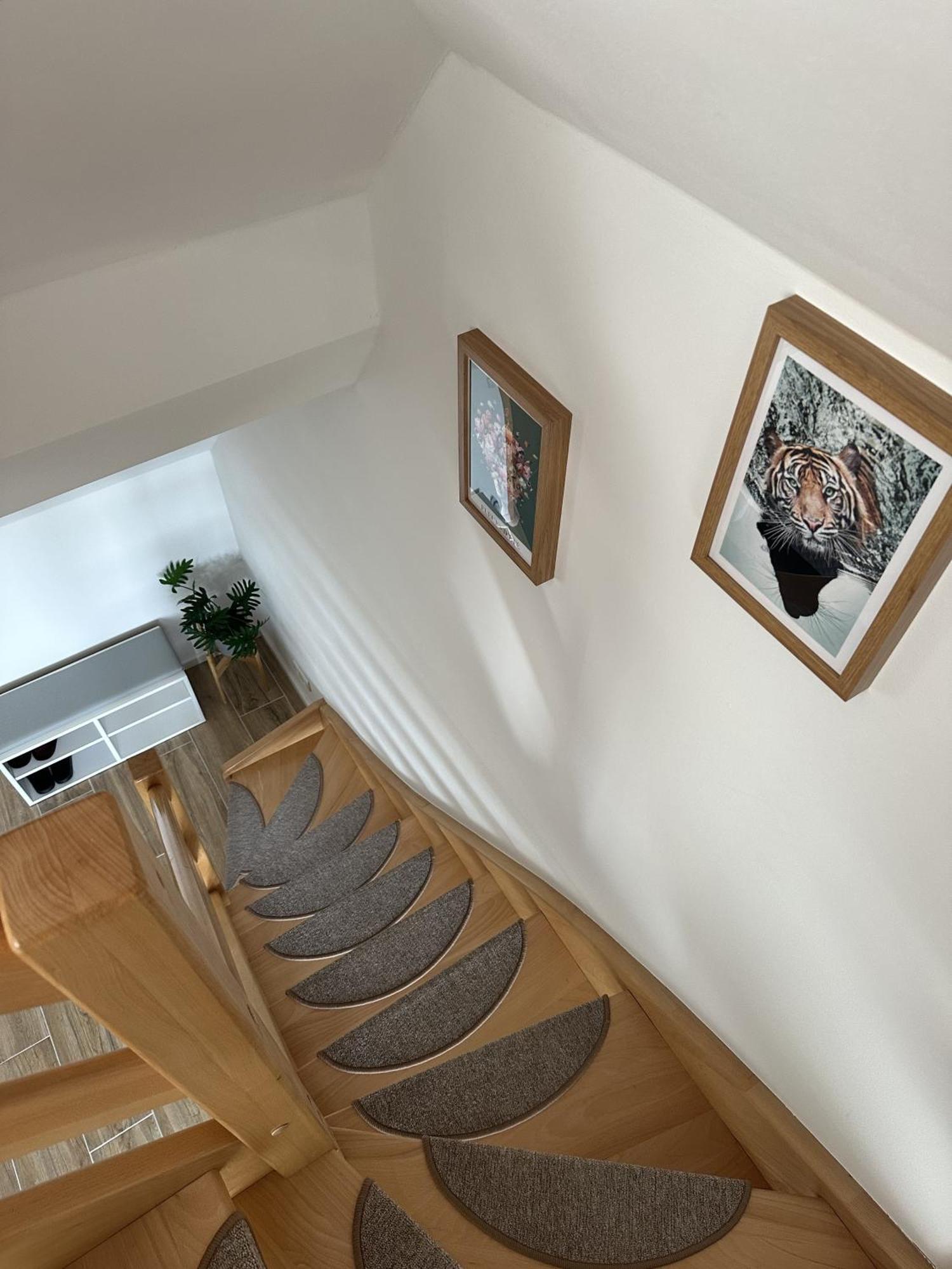 Europa Apartamenty Тшенсач Экстерьер фото
